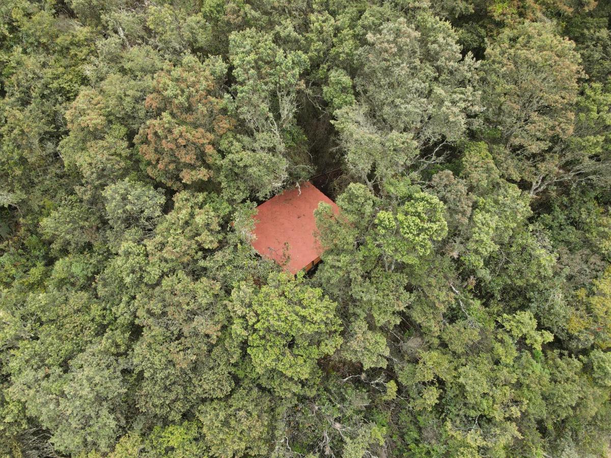 Mirador Bosque Gran Torino Neusa Cogua Exterior foto