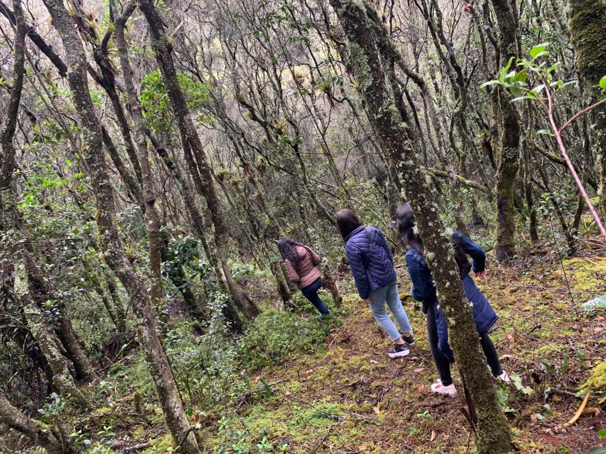 Mirador Bosque Gran Torino Neusa Cogua Exterior foto